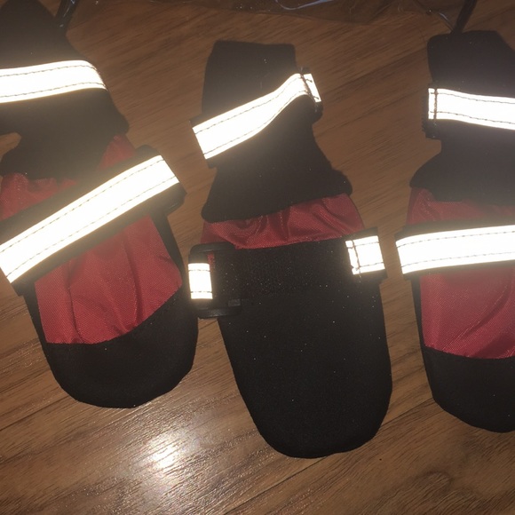 Dog booties - Picture 4 of 4